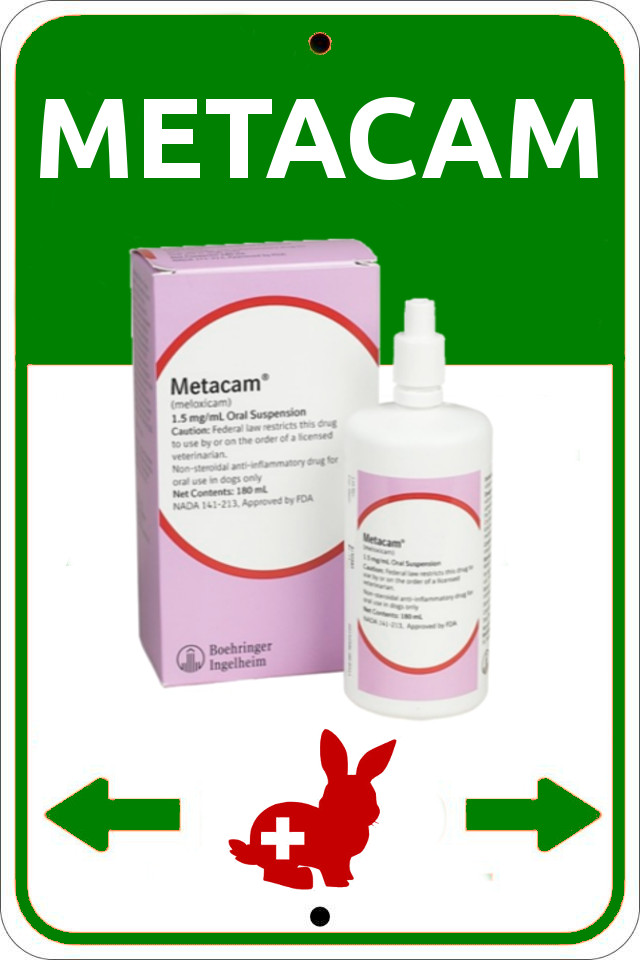 metacam for dogs side effects metacam for cats dose related keywords metacam for cats dose keywords metacam for dogs side effects metacam for cats dose related keywords metacam for cats dose keywords
