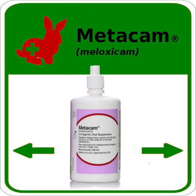 Metacam chien