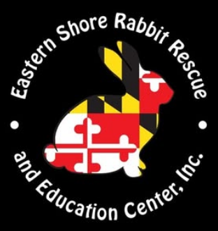 Black Rabbit Appreciation Day Logo with Date